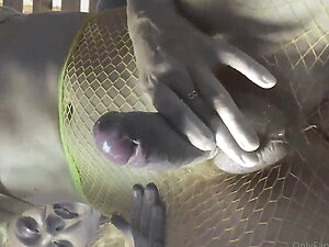 Gif