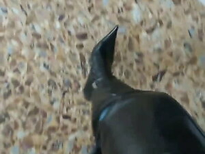 These Boots Are Made For Walking!